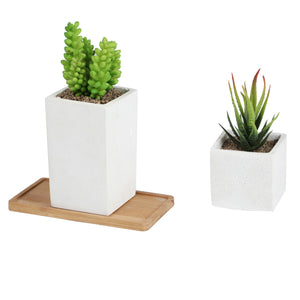 Faux Succulents in Square Shaped White Cement Pot with Saucer , Set of 2