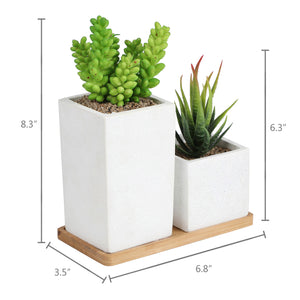 Faux Succulents in Square Shaped White Cement Pot with Saucer , Set of 2