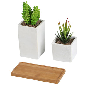 Faux Succulents in Square Shaped White Cement Pot with Saucer , Set of 2