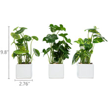 Load image into Gallery viewer, Set of 3 Potted Artificial Plants, Faux Tabletop Greenery with White Ceramic Square Pot