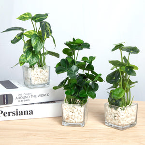 Set of 3 Potted Artificial Plants, Faux  Greenery in Clear Glass Square Pot with Decorative White Stones