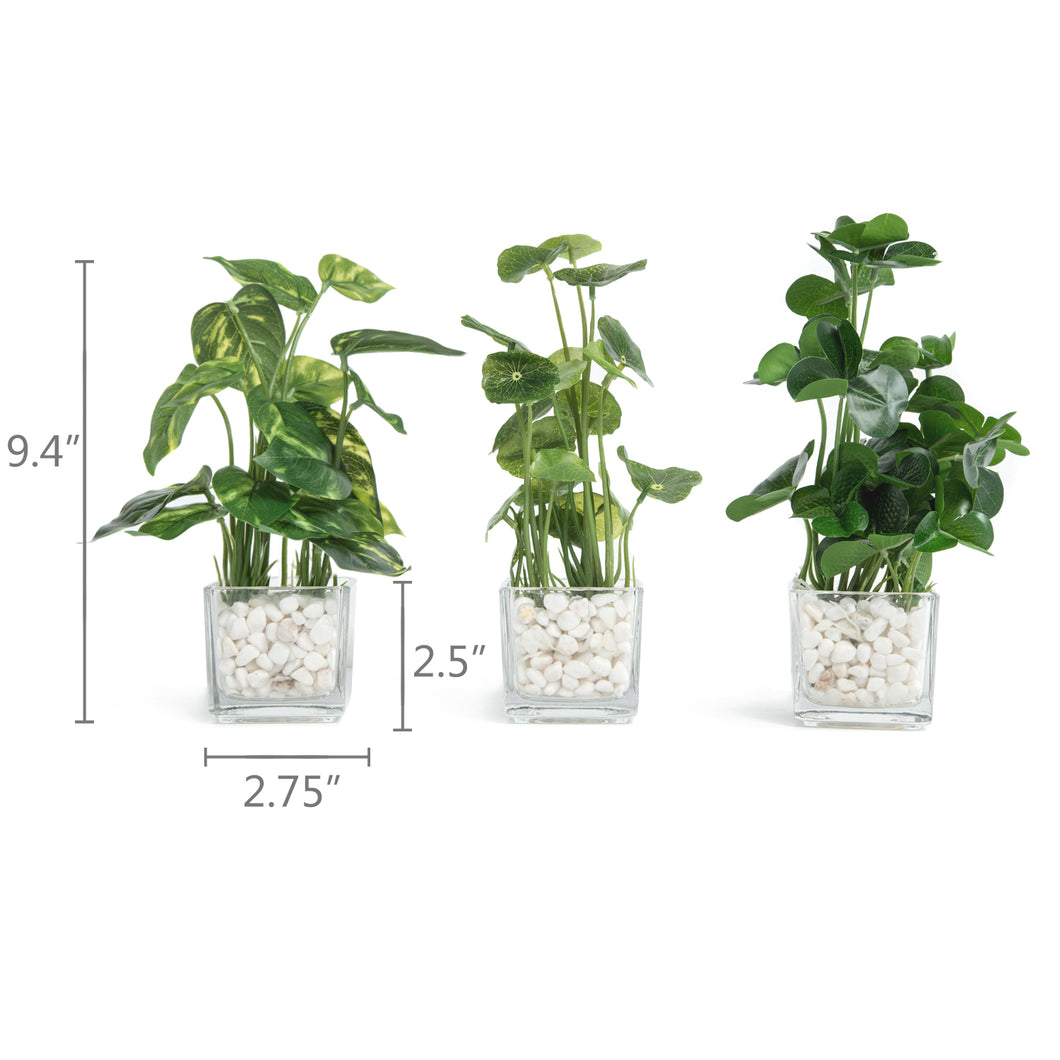 Set of 3 Potted Faux  Plants in Clear Glass Square Pots with Decorative White Stones