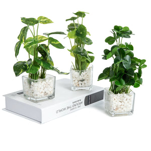 Set of 3 Potted Artificial Plants, Faux  Greenery in Clear Glass Square Pot with Decorative White Stones
