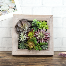 Load image into Gallery viewer, K-Cliffs Artificial Plants in a 3D Wall Hanging Solid Wooden Frame Decorative Wall Art