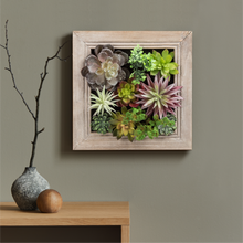 Load image into Gallery viewer, K-Cliffs Artificial Plants in a 3D Wall Hanging Solid Wooden Frame Decorative Wall Art