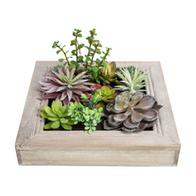 Load image into Gallery viewer, K-Cliffs Artificial Plants in a 3D Wall Hanging Solid Wooden Frame Decorative Wall Art