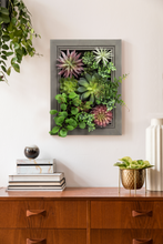 Load image into Gallery viewer, K-Cliffs Hanging Wall Artificial Plants 3D Artificial Succulent Plants Wall Hanging Plants with Rectangle Wooden Frame