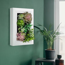 Load image into Gallery viewer, K-Cliffs Artificial Succulent Wall Art DIY Kit, Wood Frame with Realistic Faux Plant, Wall Hanging Botanical Decoration