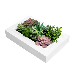 K-Cliffs DIY Kit Artificial Succulent Wall Art , Wood Frame with Realistic Faux Plant, Wall Hanging