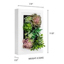 Load image into Gallery viewer, K-Cliffs DIY Kit Artificial Succulent Wall Art , Wood Frame with Realistic Faux Plant, Wall Hanging