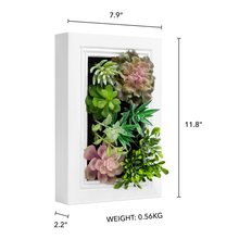 Load image into Gallery viewer, K-Cliffs Artificial Succulent Wall Art DIY Kit, Wood Frame with Realistic Faux Plant, Wall Hanging Botanical Decoration