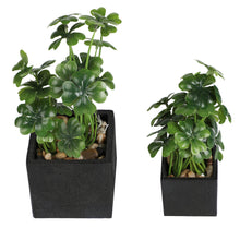 Load image into Gallery viewer, K-Cliffs Faux Tabletop Greenery in Square Black Cement Planted Pots, Set of 2