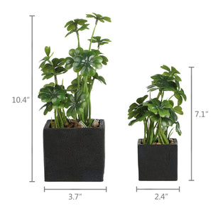 Artificial Desktop Plant Faux Tabletop Greenery in Square Black Cement Plant pots for Office and Home décor, Set of 2