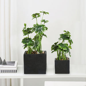 K-Cliffs Faux Tabletop Greenery in Square Black Cement Planted Pots, Set of 2