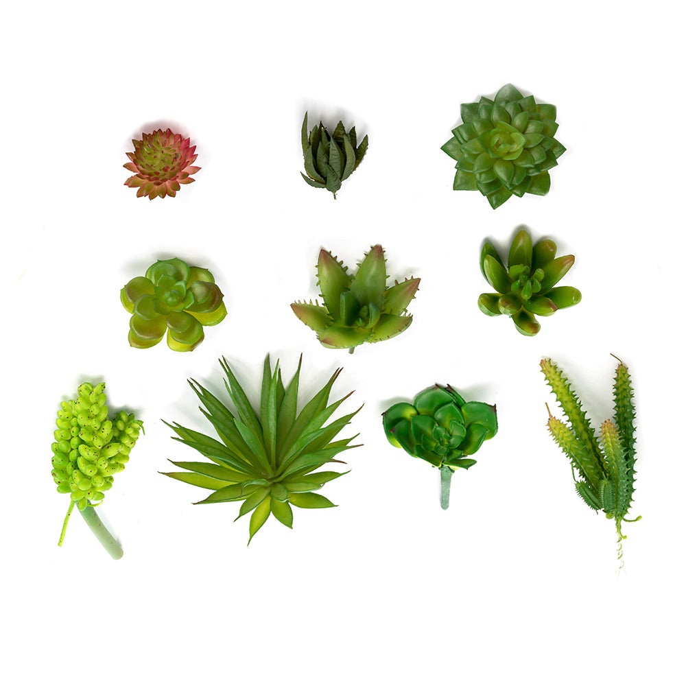 fake unpotted succulents K-Cliffs