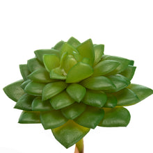Load image into Gallery viewer, K-Cliffs 10pcs Artificial Mini Succulents Faux Cactus Plants Unpotted