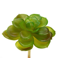 Load image into Gallery viewer, K-Cliffs 10pcs Artificial Mini Succulents Faux Cactus Plants Unpotted