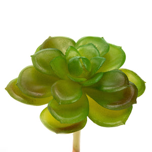 K-Cliffs 10pcs Artificial Mini Succulents Faux Cactus Plants Unpotted