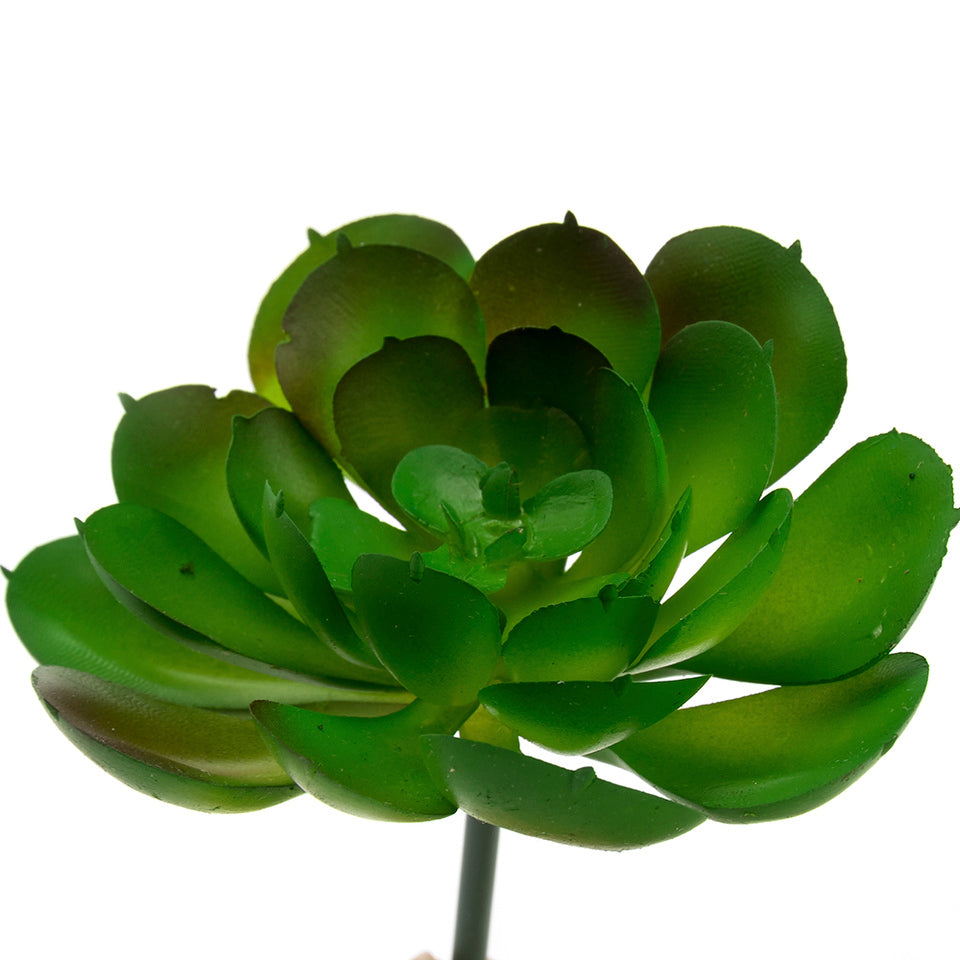 fake unpotted succulents K-Cliffs