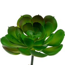 Load image into Gallery viewer, K-Cliffs 10pcs Artificial Mini Succulents Faux Cactus Plants Unpotted