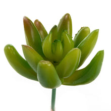 Load image into Gallery viewer, K-Cliffs 10pcs Artificial Mini Succulents Faux Cactus Plants Unpotted