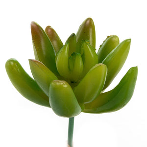 K-Cliffs 10pcs Artificial Mini Succulents Faux Cactus Plants Unpotted