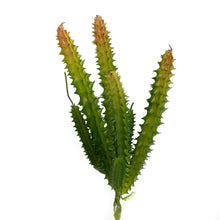 Load image into Gallery viewer, K-Cliffs 10pcs Artificial Mini Succulents Faux Cactus Plants Unpotted