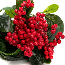 Load image into Gallery viewer, K-Cliffs Artificial Red Berries 3pcs Unpotted  Shrubs Fake Berry &amp; Green Leaves Bouquets