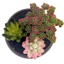 Load image into Gallery viewer, K-Cliffs Unglazed 6.7&quot; Round Ceramic Planter Pot, Succulent Cactus Holder with Matte Brown Finish