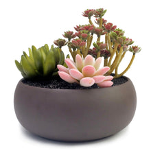 Load image into Gallery viewer, K-Cliffs Unglazed 6.7&quot; Round Ceramic Planter Pot, Succulent Cactus Holder with Matte Brown Finish