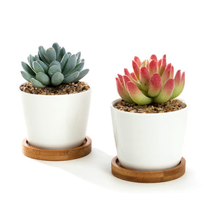 K-Cliffs 3.5 inch White Oval Ceramic Succulent Pots With Bamboo Tray, Set of 2…