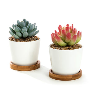 K-Cliffs 3.5 inch White Oval Ceramic Succulent Plant Pot With Bamboo Tray, Set of 2…