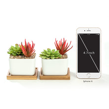 Load image into Gallery viewer, K-Cliffs Set of 2 White Square Ceramic Succulent Plant Pot/Cactus with Bamboo Tray
