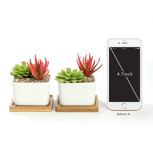 K-Cliffs Set of 2 White Square Ceramic Succulent Plant Pot/Cactus with Bamboo Tray