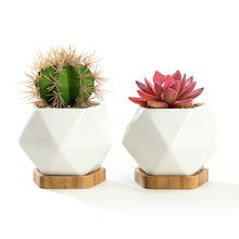 Load image into Gallery viewer, K-Cliffs Set of 2 White Diamond Shape Ceramic Succulent Plant Pot with Bamboo Tray,