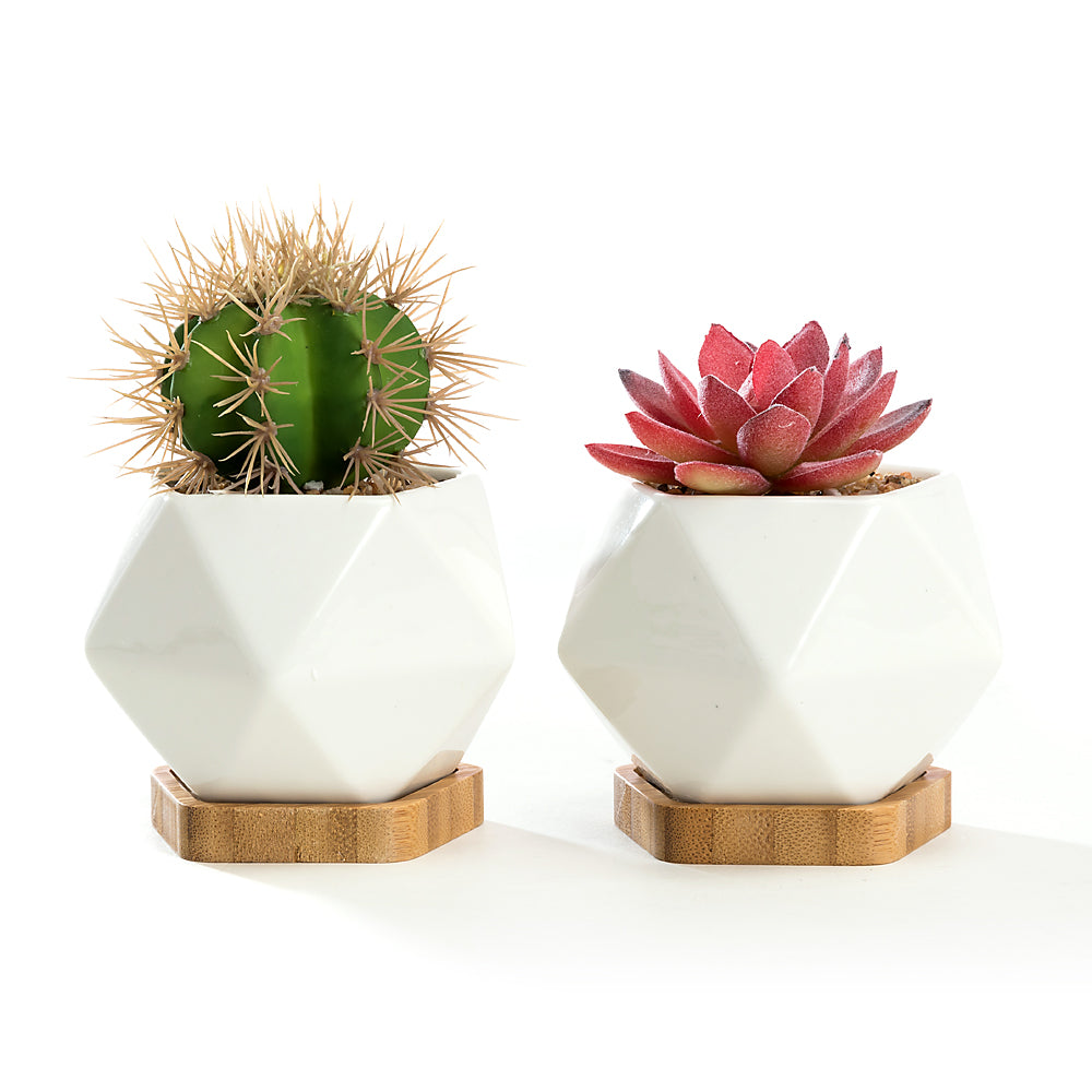 K-Cliffs Set of 2 White Diamond Shape Ceramic Succulent Plant Pot with Bamboo Tray,