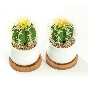 K-Cliffs Set of 2 White Jar Shape Ceramic Succulent Plant Pots With Bamboo Tray