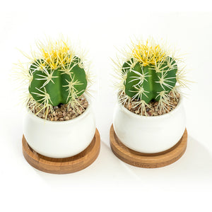 K-Cliffs White Jar Shape Design Ceramic Succulent Plant Pot  With Bamboo Tray Set of 2