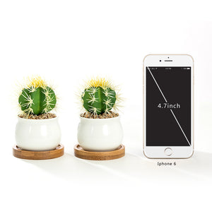 K-Cliffs Set of 2 White Jar Shape Ceramic Succulent Plant Pots With Bamboo Tray
