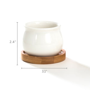 K-Cliffs Set of 2 White Jar Shape Ceramic Succulent Plant Pots With Bamboo Tray