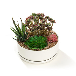 6.3 inch Round Pot Bowl Tub with Saucer White Ceramic Succulent Planter