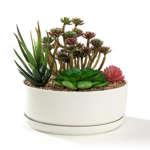 6.3 inch Round Bowl Tub with Saucer Minimalist White Ceramic Succulent Planter