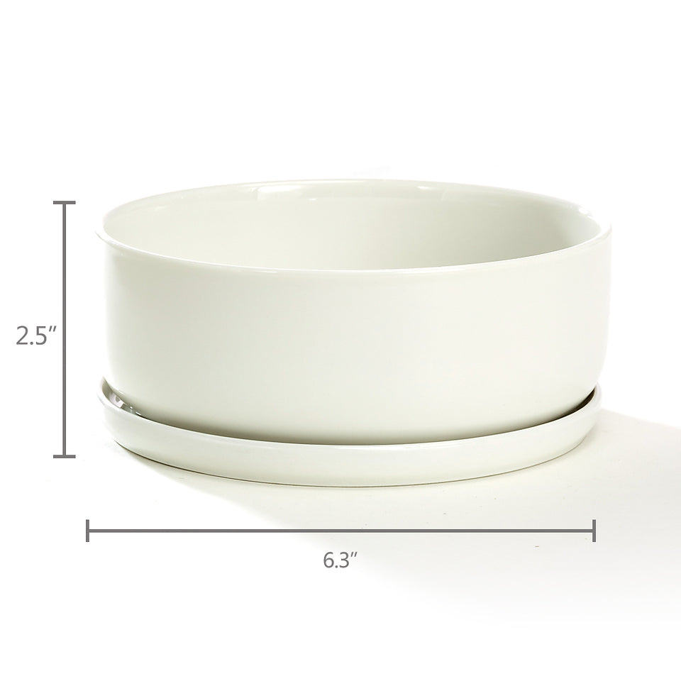 6.3 inch Round Bowl Tub with Saucer Minimalist White Ceramic Succulent Planter