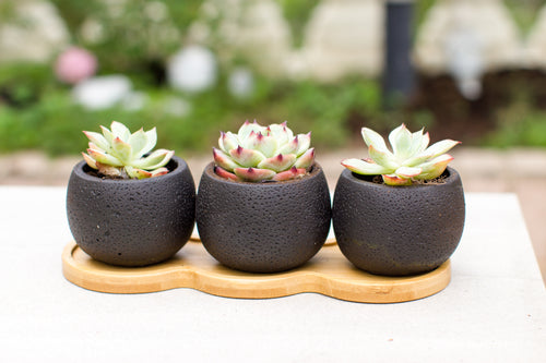 K-Cliffs Mini Black Cement Plant Pots with Bamboo Saucer and Drainage Hole, Set of 3