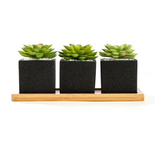 Load image into Gallery viewer, K-Cliffs Set of 3pcs Square Black Succulent Planter Pots 2.5 inch Cement Pottery with Tray