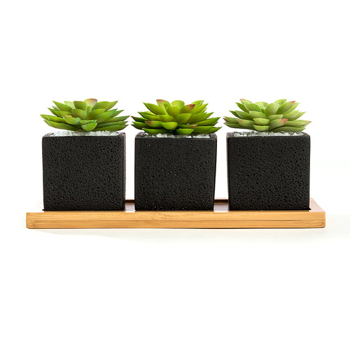 Set of 3pcs Square Black Succulent Planter Pots 2.5 inch Cement Pottery with Tray