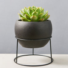 Load image into Gallery viewer, 5.6 inch Minimalistic Black Round Cement Planter Pot with a Decorative Black Metal Rack Plant Stand Holder