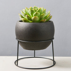 5.6 inch Minimalistic Black Round Cement Planter Pot with a Decorative Black Metal Rack Plant Stand Holder