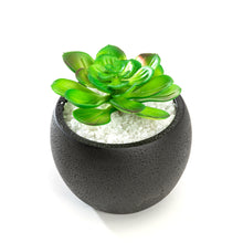 Load image into Gallery viewer, 5.6 inch Minimalistic Black Round Cement Planter Pot with a Decorative Black Metal Rack Plant Stand Holder