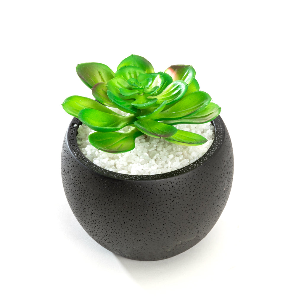 5.6 inch Minimalistic Black Round Cement Planter Pot with a Decorative Black Metal Rack Plant Stand Holder